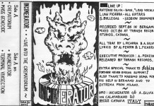 Incinerator: Hot Hot Heat
