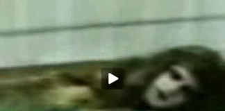 Quivering Evil Arabic Sideshow Geek