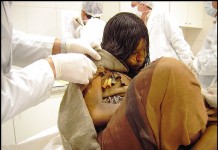 What’s Wrong With This Chick?