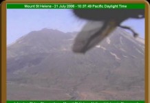 Giant Fly Attacks Mount St. Helens