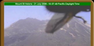 Giant Fly Attacks Mount St. Helens