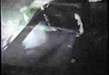 Cop Shoot Cop: No Shoulder to Cry On