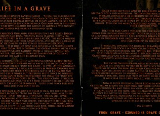 Life in a Grave
