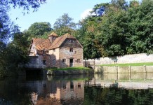 Who Are You? #8 (picturesque edition)