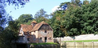 Who Are You? #8 (picturesque edition)