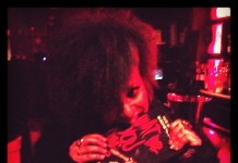 Author Laina Dawes at the Million Man Mosh NYC on MLK Day 2013