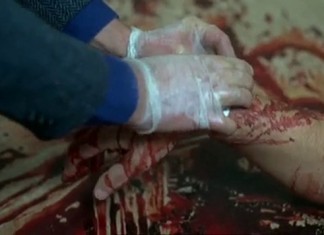 Swedish Sensationsfilms Weekly: The Bloodiest Murder