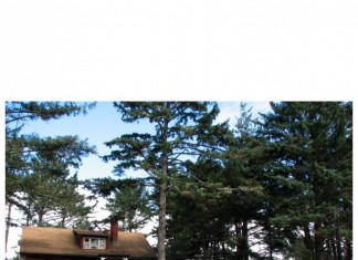 Sat Feb 7, Seaview, WA: Bruce Pavitt and Calvin Johnson Throw a SUB POP USA Party at Sou’wester Cabins