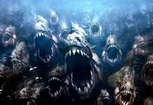 Bloody Roots of Metal: When Animals Attack on Sirius XM