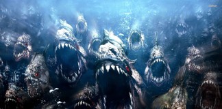 Bloody Roots of Metal: When Animals Attack on Sirius XM