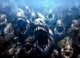 Bloody Roots of Metal: When Animals Attack on Sirius XM