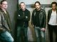 Roots of Fresh Bands from Familiar Metal Faces