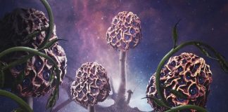 Roots 2019 Year-End Metal Instrumental Show | on SiriusXM