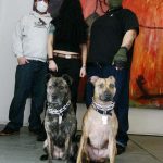 ROOTS of the DOGS OF METAL | on SiriusXM ROOTS of the Dogs of Metal playlist SiriusXM
