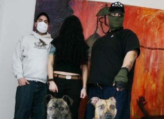 ROOTS of the DOGS OF METAL | on SiriusXM ROOTS of the Dogs of Metal playlist SiriusXM