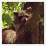 0a115852c18a11e2b7ea22000a1f9366_7