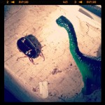 7542d1ecc0ee11e2963d22000a1f9cad_7