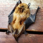 b21294feb59511e2914022000a9e0653_7