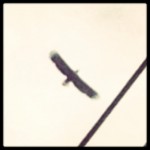 1559b34ed1e811e29ff222000aa8009c_7