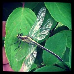 4c9204dce10711e2a50222000a1fb870_7