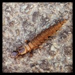 500b7accd61b11e297bf22000a1f9263_7