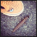 8d5749a4d6e511e2879322000a9f1376_7