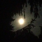 9fa188a6dba711e280a722000aaa08b2_7