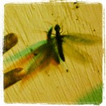 1c8b0e28f66511e29fa922000a1f8feb_7