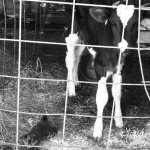 acbc580c17d111e3bd0922000a1f9039_7