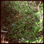 e957b21c2c5711e3999722000a1fcf03_7