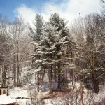 9ccf9a68806211e3b0540ee34114bbed_8