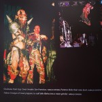 981929c4b36d11e39c5f126978537a2d_8