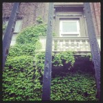 10326359_244843059050466_790907832_n