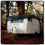 10387868_768346076519428_867678973_n